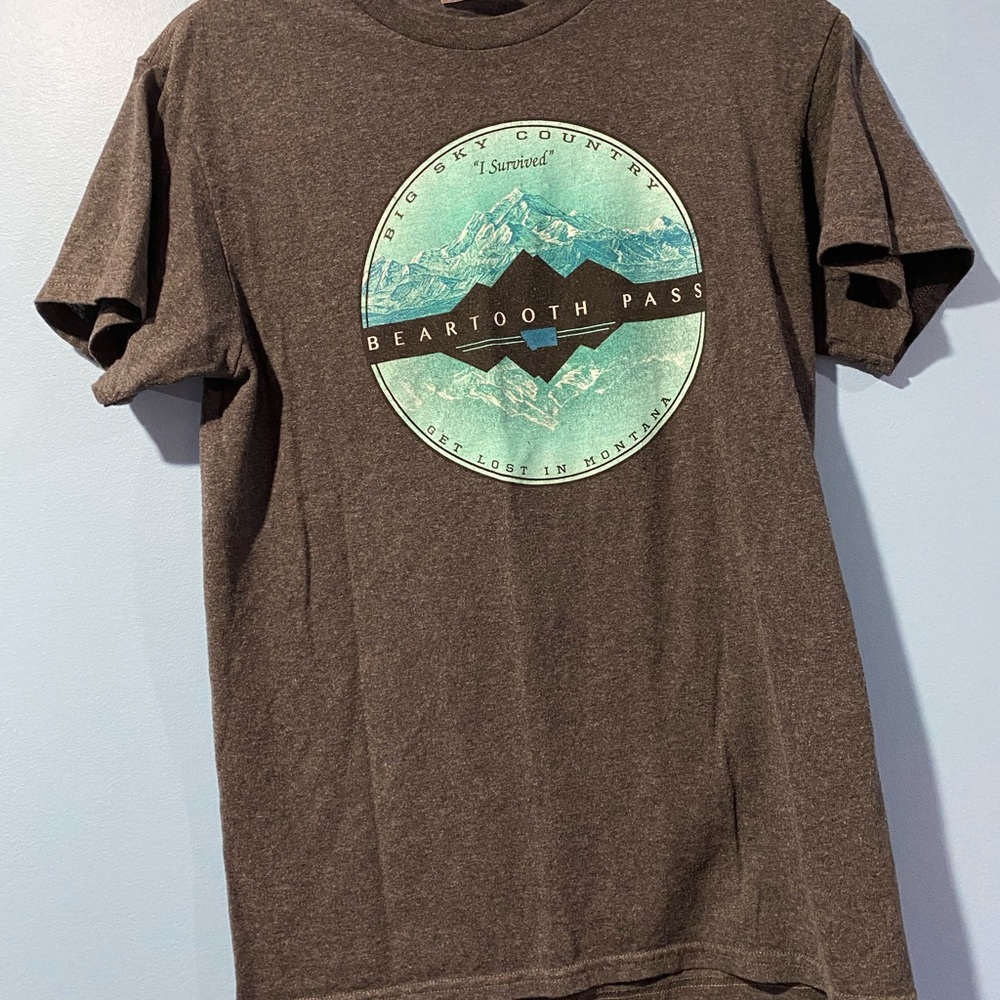 Grey Cotton T-Shirt